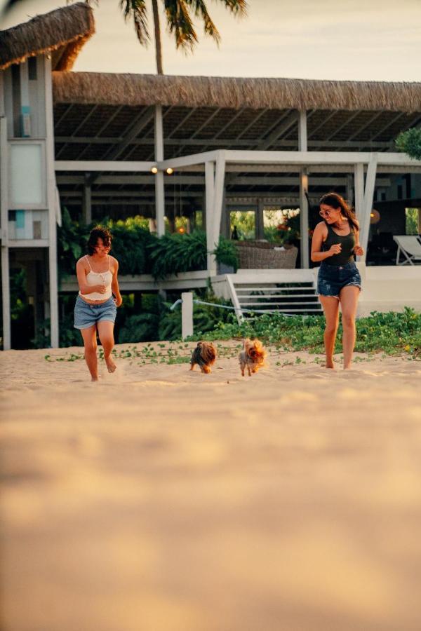 Beach Houses Moitas Amontada Bagian luar foto